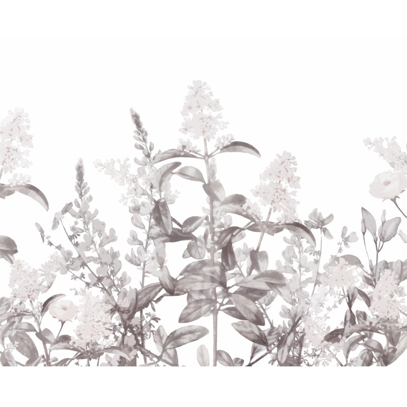 Honpo | Flower Field